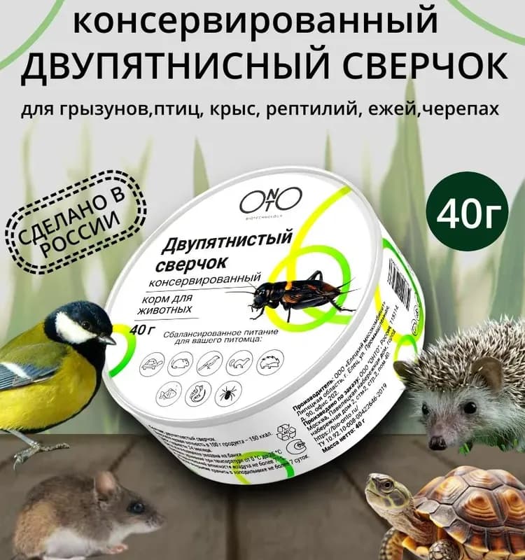 Маркус насос MSAm 0,5-4-25F