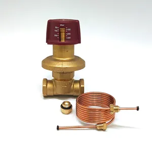 Автоматический регулятор перепада давления 3/4 , давление 50-300 (ZEISSLER) 12/1