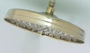 Лейка тропическая GANZER (РЕТРО ЗО) Ф30