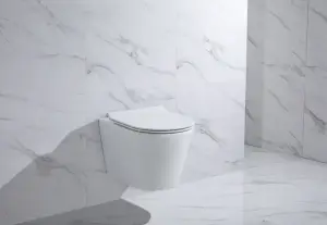 Унитаз подвесной, круглый (БЕЛЫЙ) GANZER