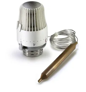 Термоголовка с погружным датчиком ZEISSLER 1/100